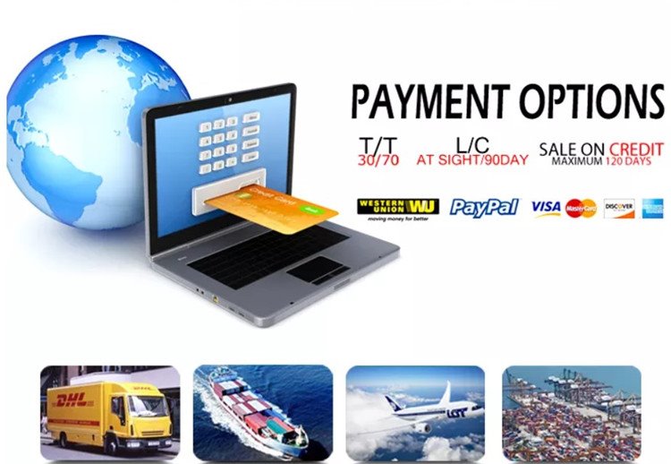 24V brushless dc motor payments