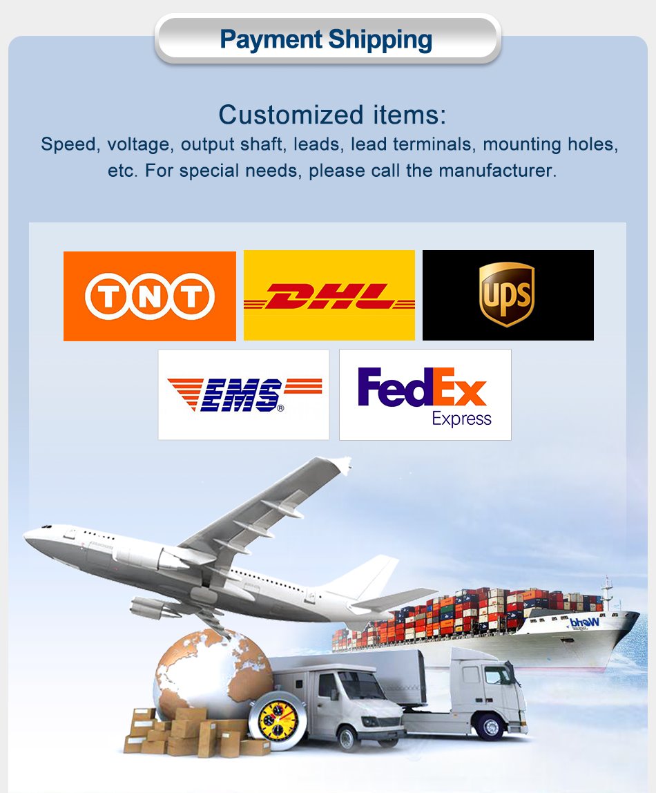 100rpm 12v dc gear motor payments 