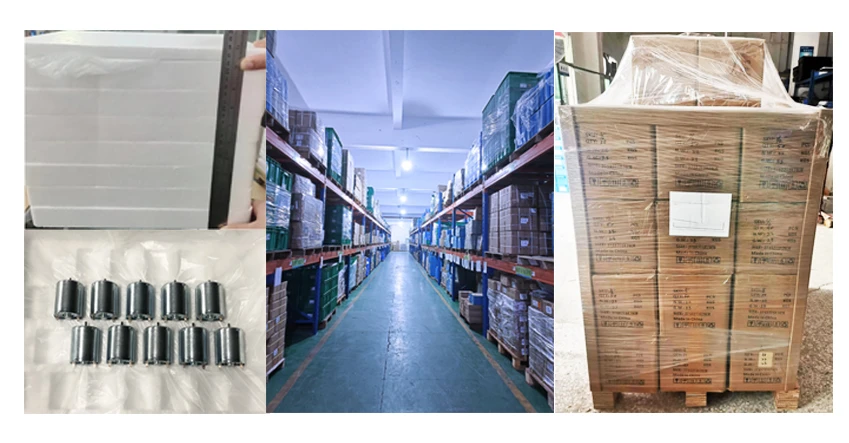 product-700-380 Brushless DC Motors for Switcherspackage