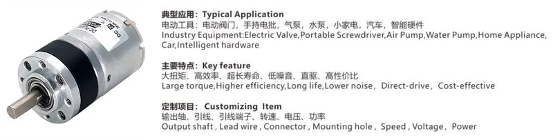 32mm 100 rpm dc motor application 32mm 100 rpm dc motor application