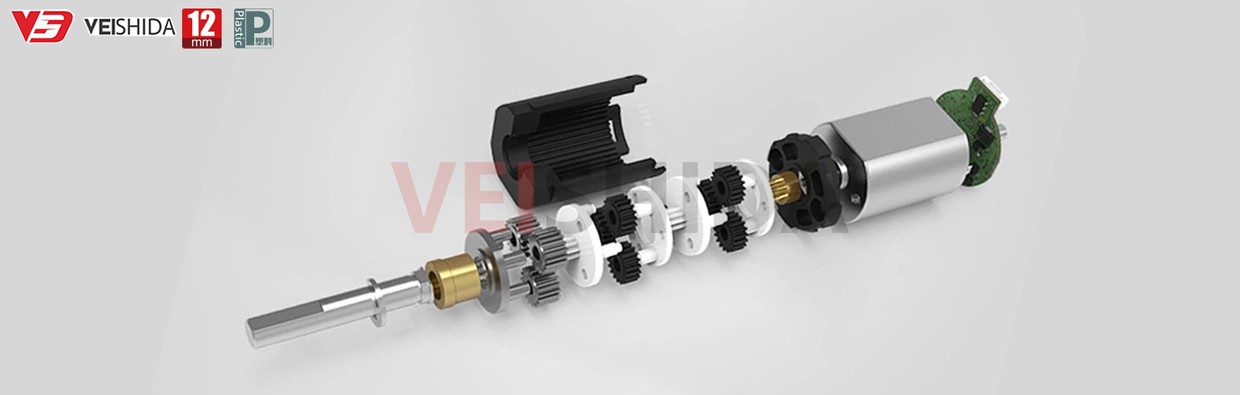 1239 Coreless Gear Motor Parts Detailed 1239 Coreless Gear Motor Parts Detailed